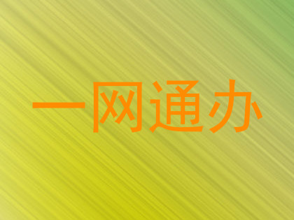 一网通办