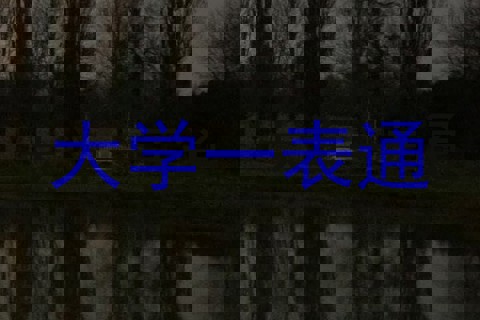 大学一表通
