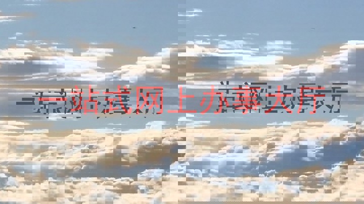 一站式网上办事大厅