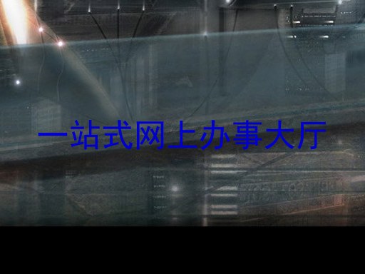 一站式网上办事大厅