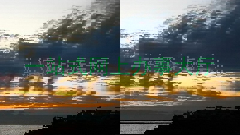 一站式网上办事大厅