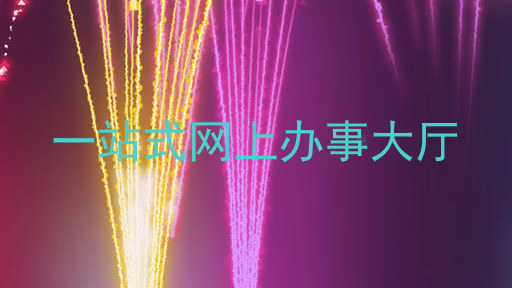 一站式网上办事大厅