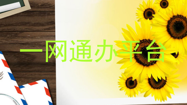 一网通办平台