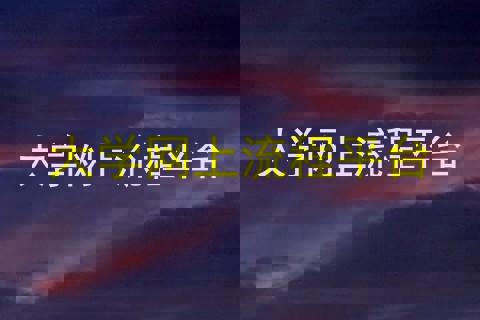 大学网上流程平台