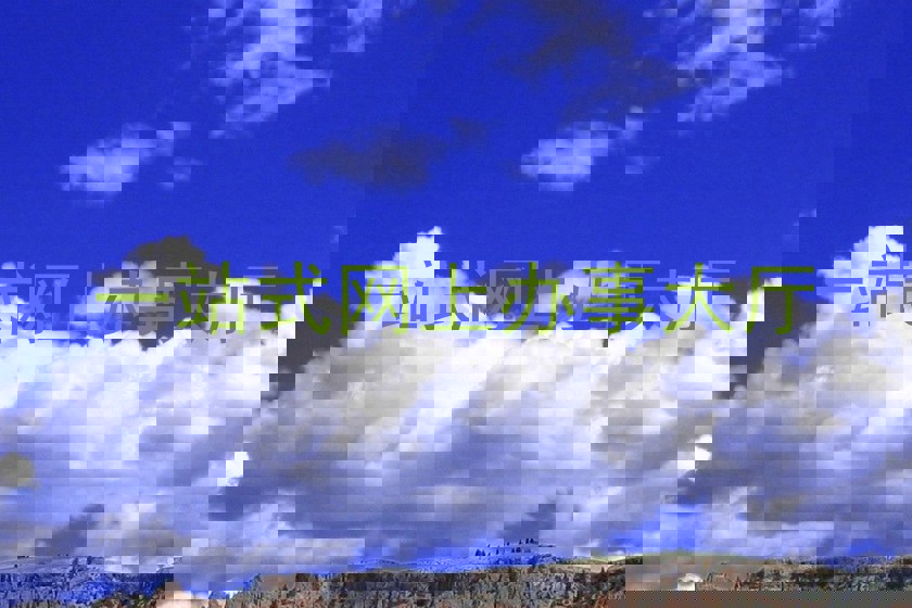 一站式网上办事大厅