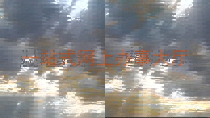 一站式网上办事大厅