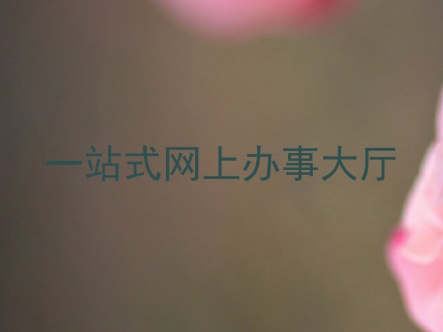 一站式网上办事大厅