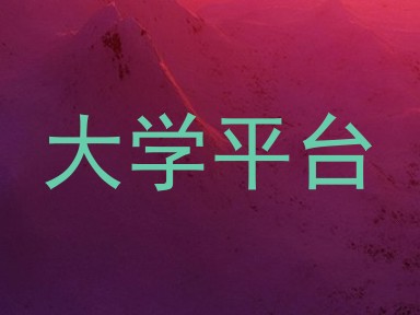 大学平台