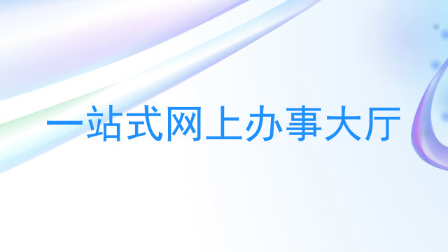 一站式网上办事大厅