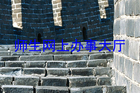 师生网上办事大厅