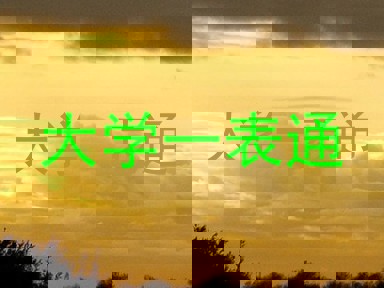 大学一表通