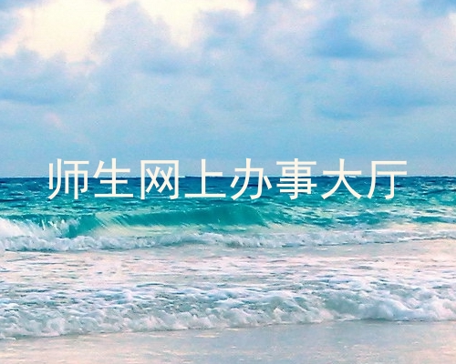 师生网上办事大厅