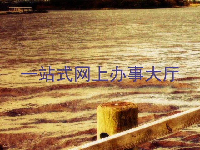 一站式网上办事大厅