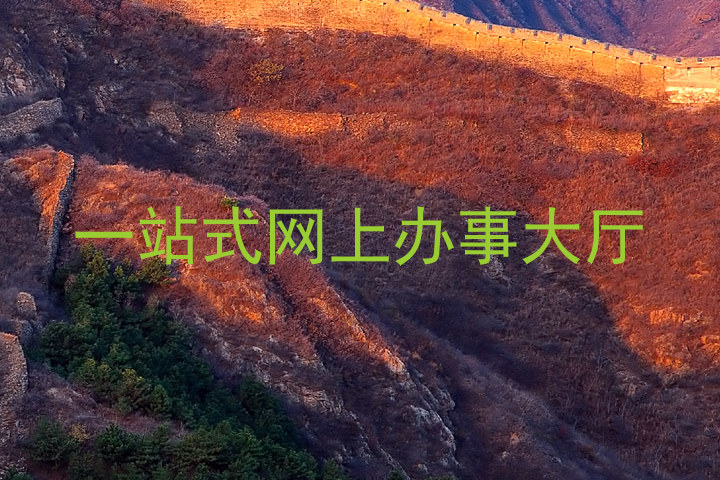 一站式网上办事大厅