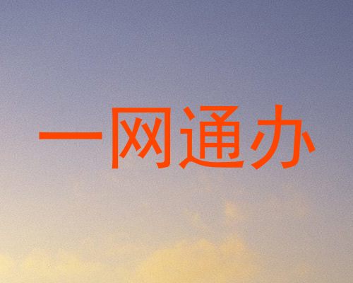 一网通办