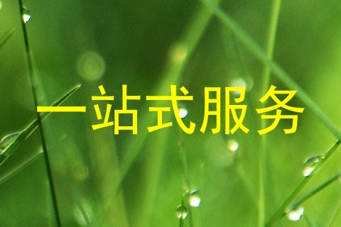 一站式服务