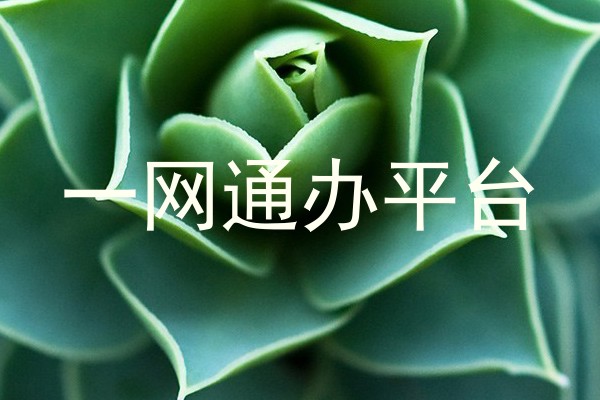 一网通办平台