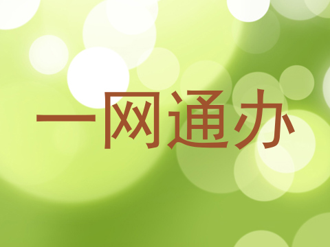 一网通办