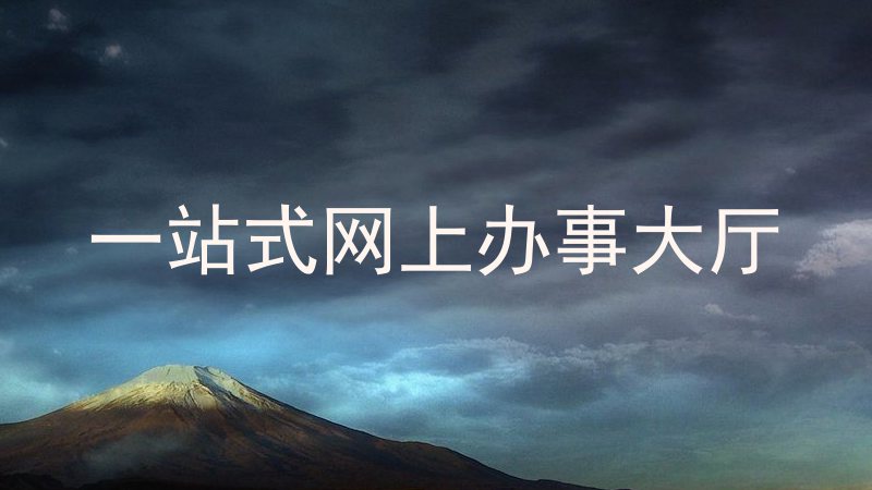 一站式网上办事大厅