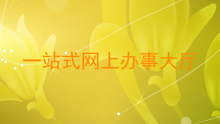 一站式网上办事大厅