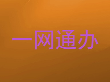 一网通办