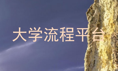 大学流程平台