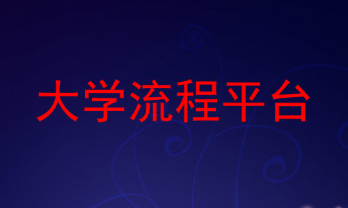 大学流程平台