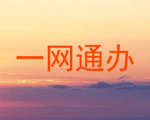 一网通办