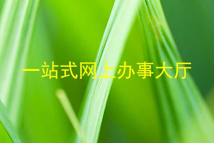 一站式网上办事大厅