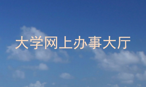 大学网上办事大厅