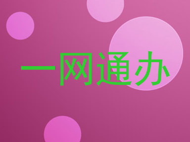 一网通办