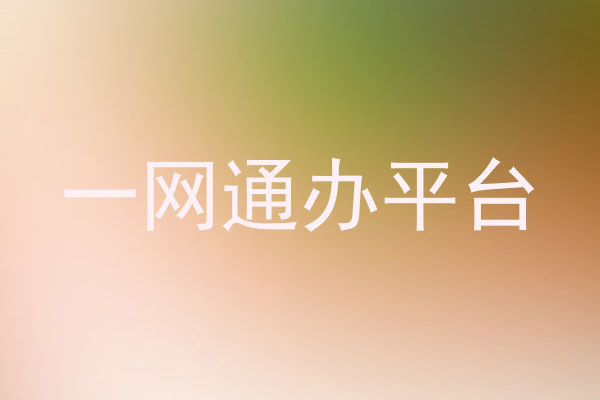 一网通办平台