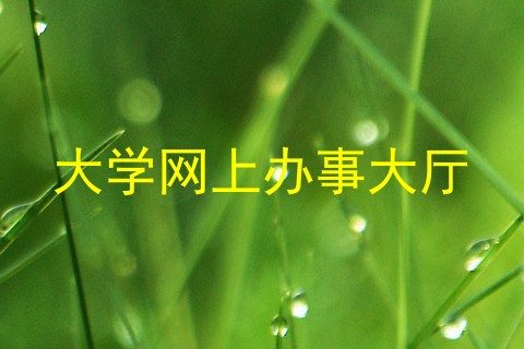 大学网上办事大厅