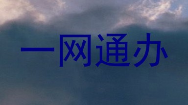 一网通办