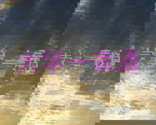 大学一表通