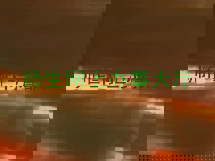 师生网上办事大厅