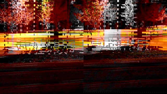 一站式网上办事大厅