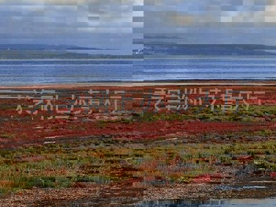 大学网上办事大厅