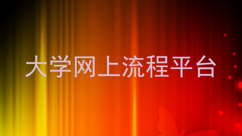大学网上流程平台