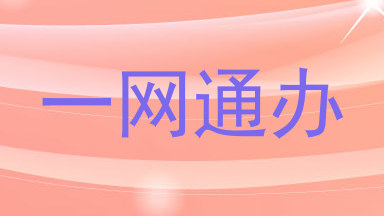 一网通办