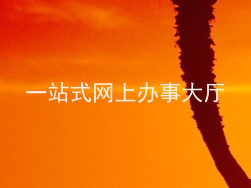 一站式网上办事大厅