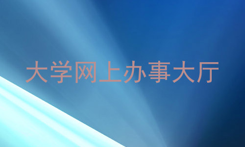 大学网上办事大厅