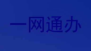 一网通办