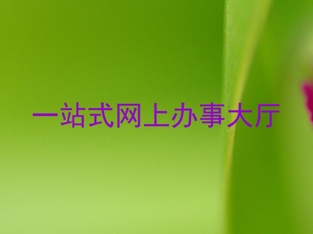 一站式网上办事大厅