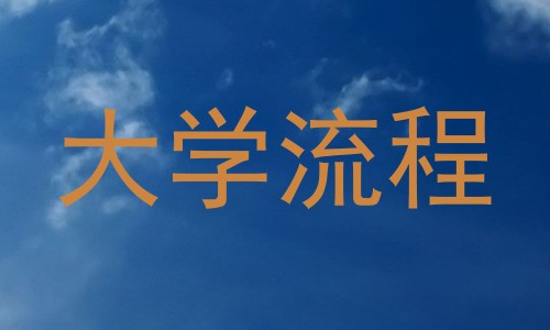大学流程