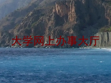 大学网上办事大厅