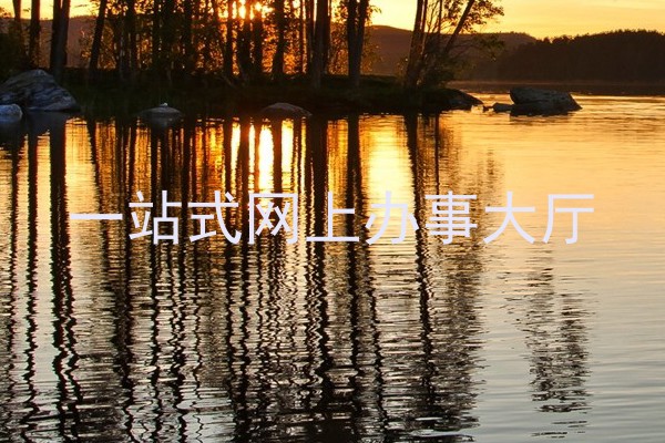 一站式网上办事大厅