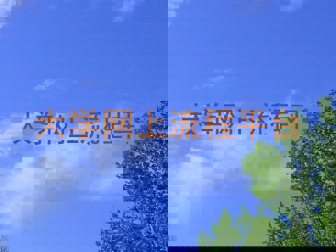 大学网上流程平台