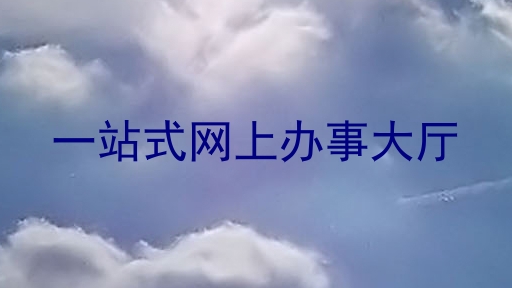 一站式网上办事大厅