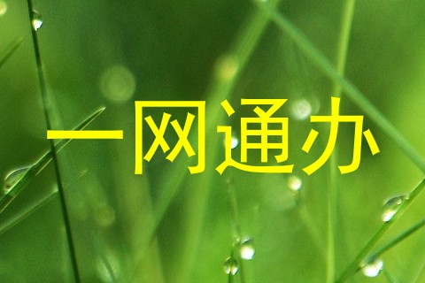 一网通办